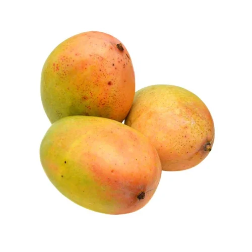 Icon size image of Neelam mango variety